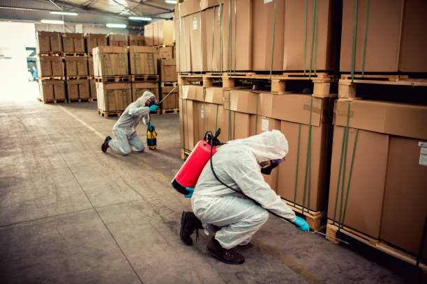 Best Emergency Pest Control  in Atlanta, IL