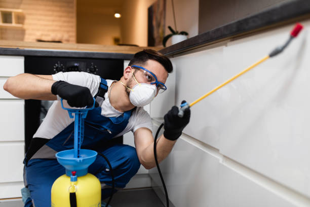 Best Termite Control Services  in Atlanta, IL