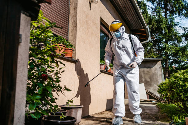 Best Wasp Removal Services  in Atlanta, IL