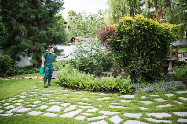 Reliable Atlanta, IL Pest Control Solutions