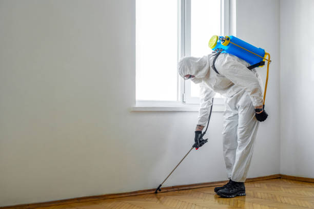 Best Cockroach Control Services  in Atlanta, IL
