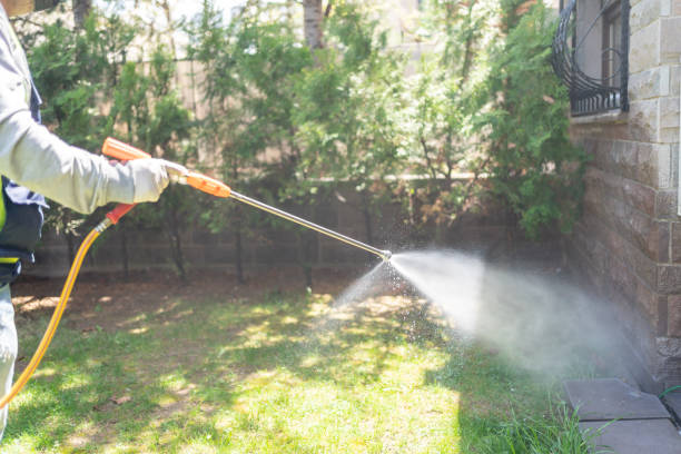 Best Exterminator Services  in Atlanta, IL