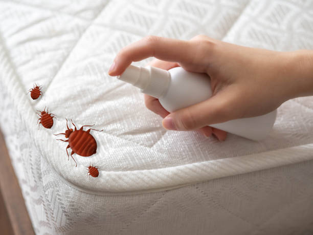 Best Pest Control Near Me in Atlanta, IL