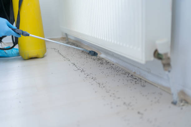  Atlanta, IL Pest Control Pros