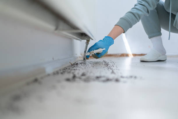 Best Best Pest Control Companies  in Atlanta, IL